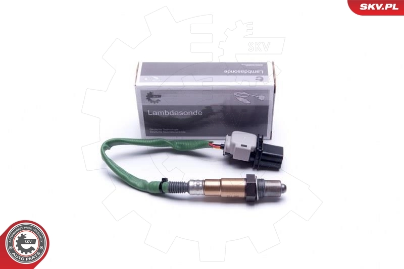 Oxygen Sensor